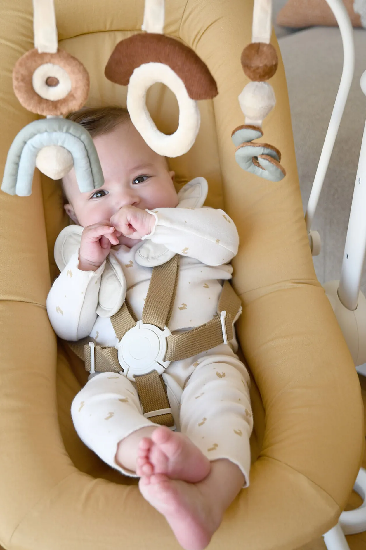 BÉABA Accessoires Transat*Arche De Jeux Transat Up&Down Plus