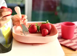 BÉABA Couverts, Vaisselle Et Bavoirs*Assiette Silicone Ventouse Light Pink