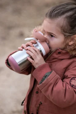 BÉABA Biberons Et Accessoires*Gourde Inox 350 Ml Old Pink